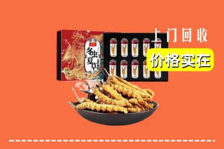 宜宾屏山县回收冬虫夏草