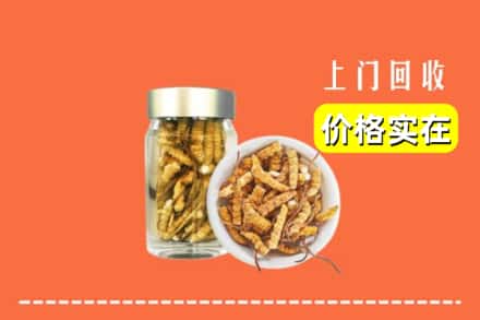 收购资讯:宜宾屏山县回收散虫草