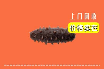 收购资讯:宜宾屏山县回收海参
