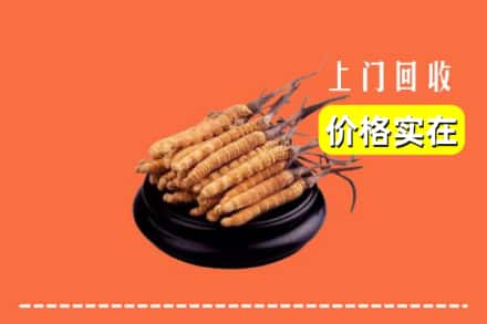 宜宾屏山县回收冬虫夏草